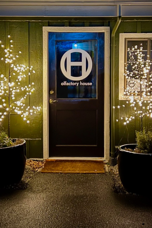 The front door of port townsend location of Olfactory House. The door is brown with a large white logo on the window. Two potted trees are on either side with twinkly lights. 